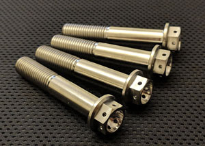 RaceFasteners Kawasaki Titanium Bolt Kit