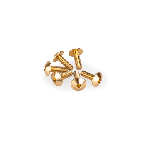 Puig KIT 6 SCREWS M5X15 DIAM. HEAD 11,8MM C/GOLD