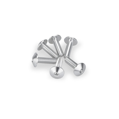 Puig KIT 6 SCREWS M6X20 DIAM. HEAD 13,9MM C/SILVER