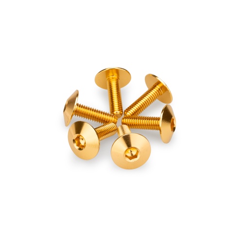 Puig KIT 6 SCREWS M6X20 DIAM. HEAD 16,8MM C/GOLD