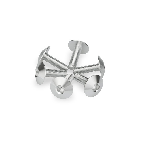 Puig KIT 6 SCREWS M6X20 DIAM. HEAD 16,8MM C/SILVER