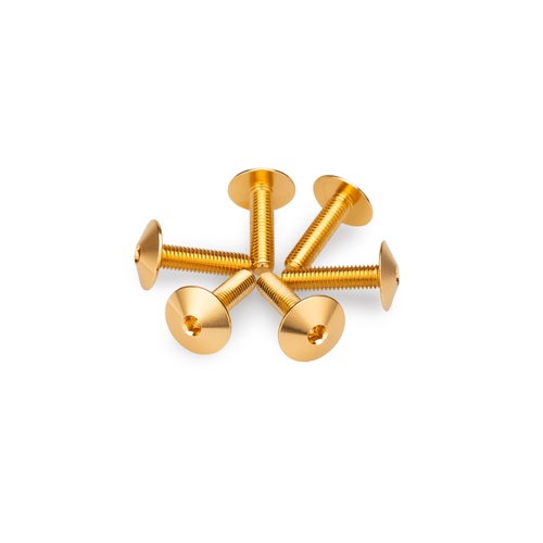 Puig KIT 6 SCREWS M5X20 DIAM. HEAD 13,9MM C/GOLD