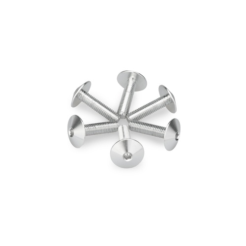 Puig KIT 6 SCREWS M5X20 DIAM. HEAD 13,9MM C/SILVER