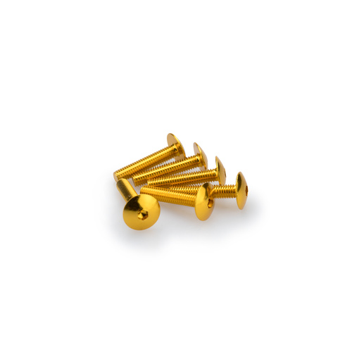 Puig KIT SCREWS DOMED M6X30 C/GOLD