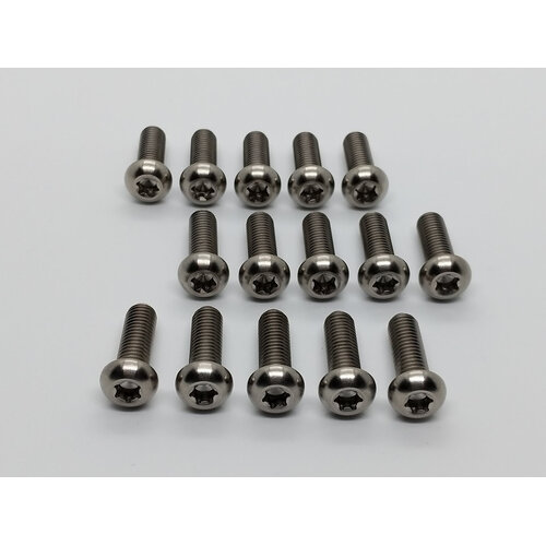 RaceFasteners Titanium Front & Rear Disc Torx Head Bolt Kit For KTM 1290 Super Duke R