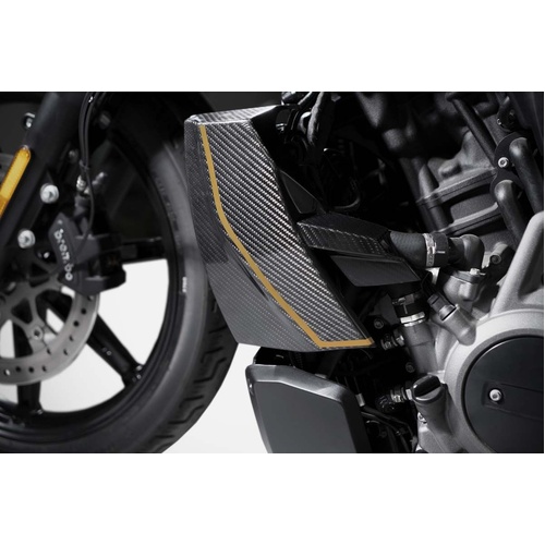 Zard 120TH L.E._CARBON COVER RADIATOR + ALU PLUG COVER For  NIGHTSTER 975 23